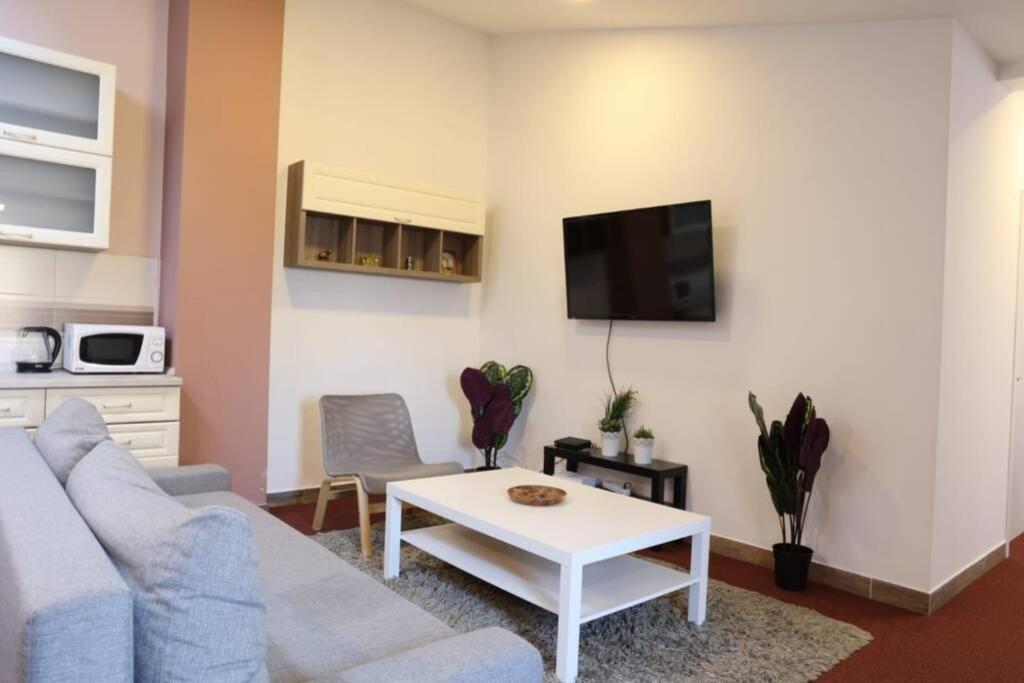 Belgrade Center Apartment Nusiceva Zewnętrze zdjęcie